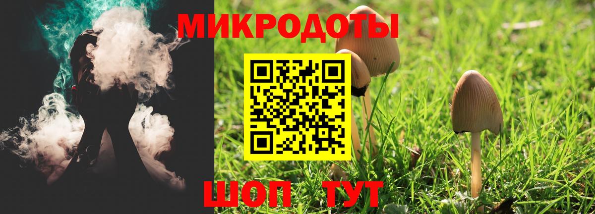 Галлюциногенные грибы Cubensis Волжск