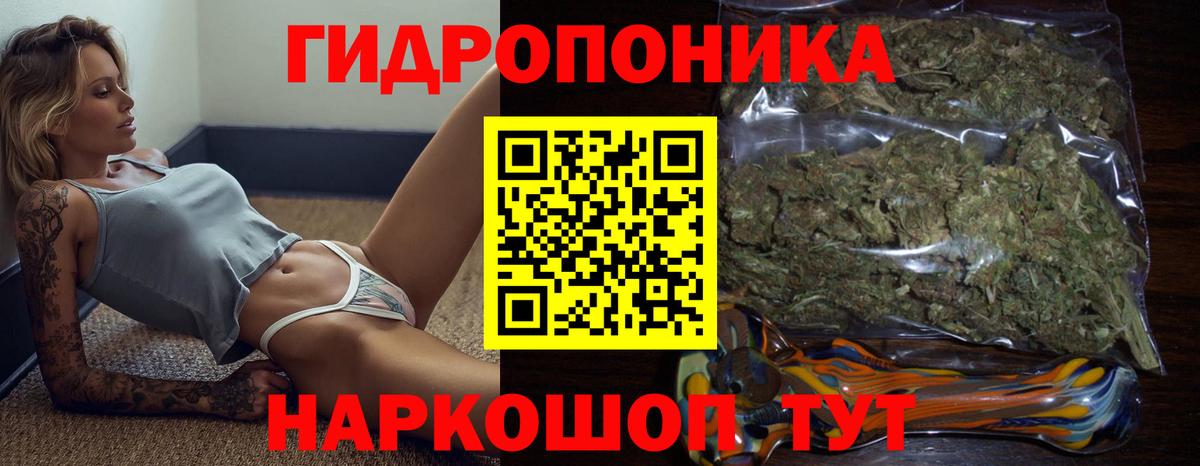 Конопля Ganja  Канабис семена  Канабис семена  Волжск  Вход с VPN 